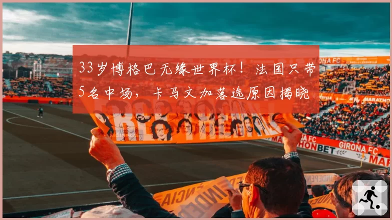 33岁博格巴无缘世界杯!法国只带5名中场,卡马文加落选原因揭晓