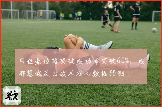 韦世豪边路突破成功率突破60%，成都蓉城反击战术核心数据预测