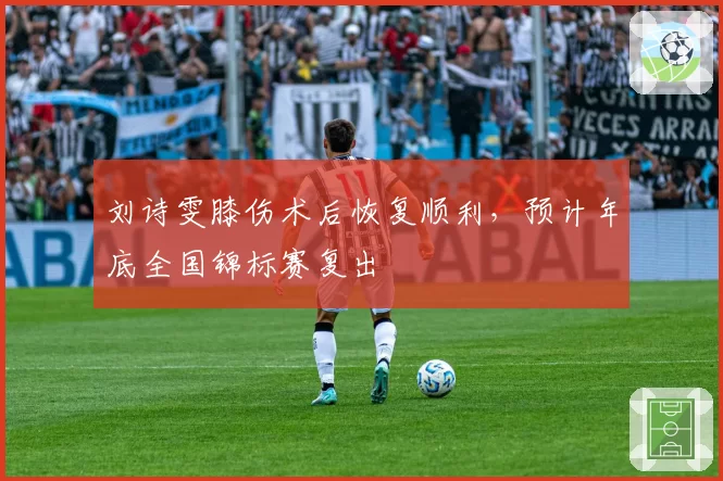 刘诗雯膝伤术后恢复顺利,预计年底全国锦标赛复出